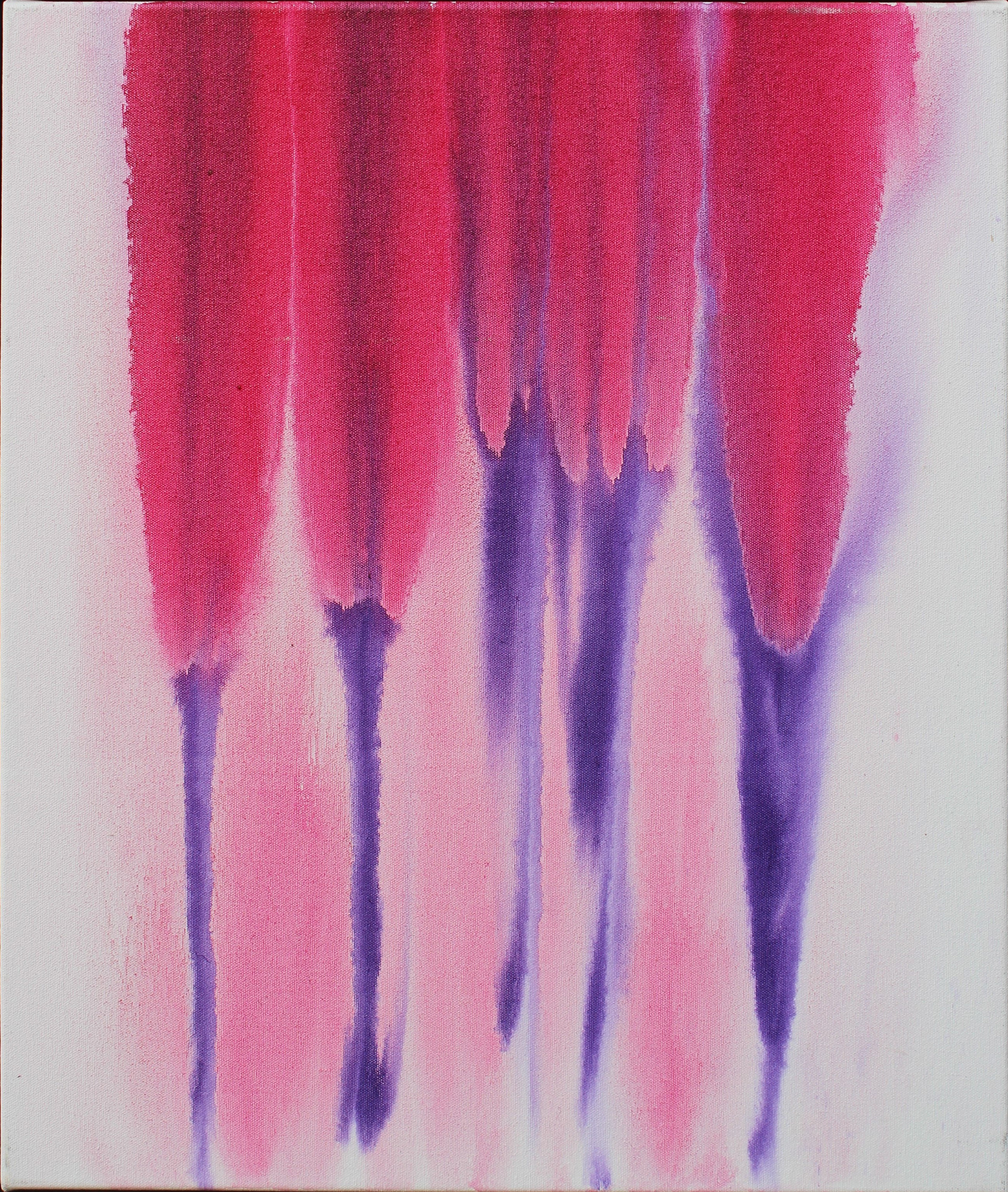 Tulips Image