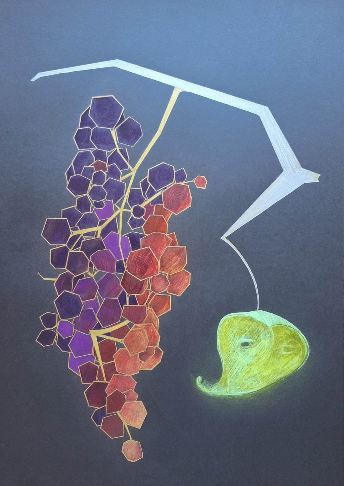 Grape Image