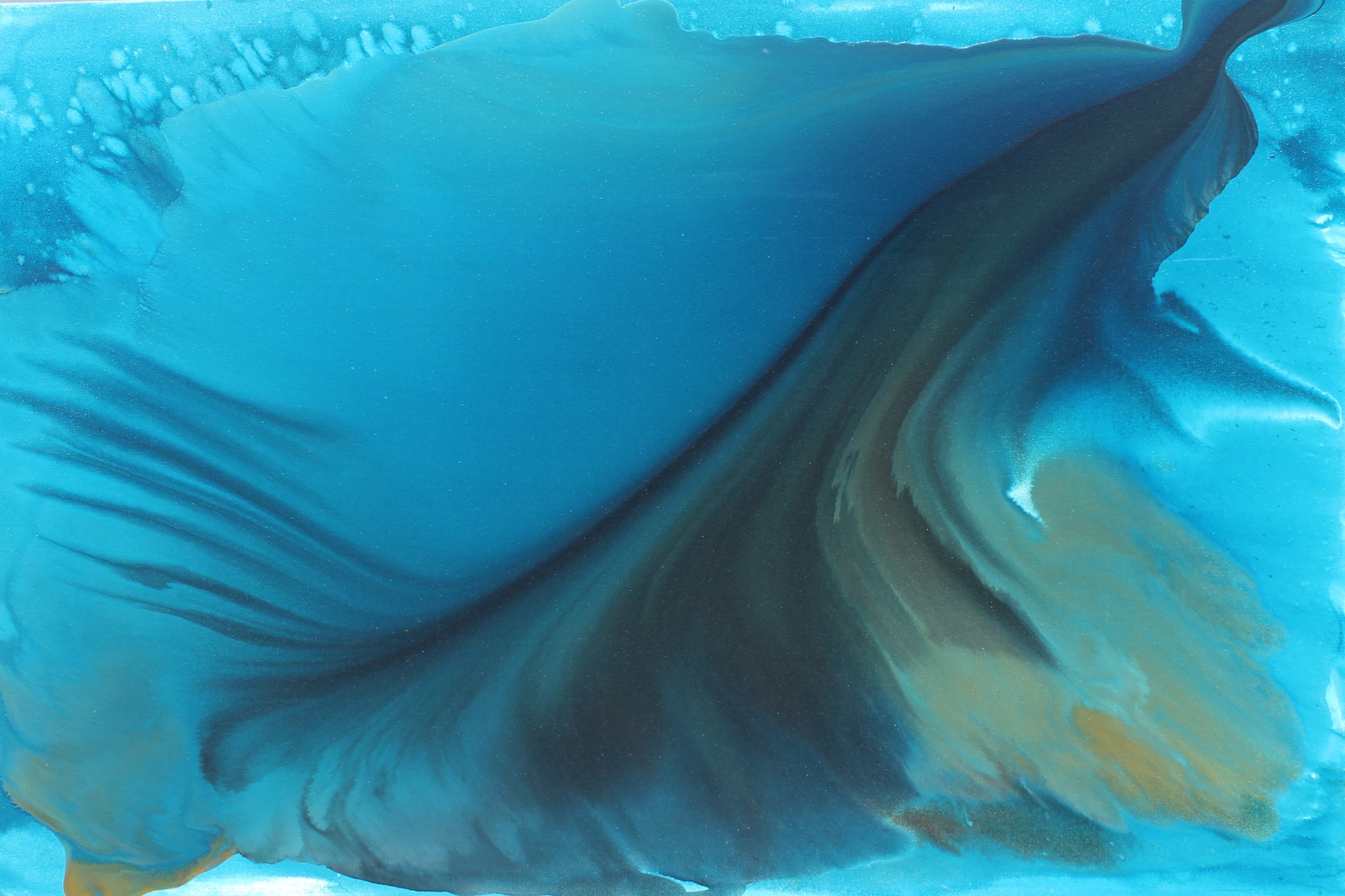 Image for Oceana
