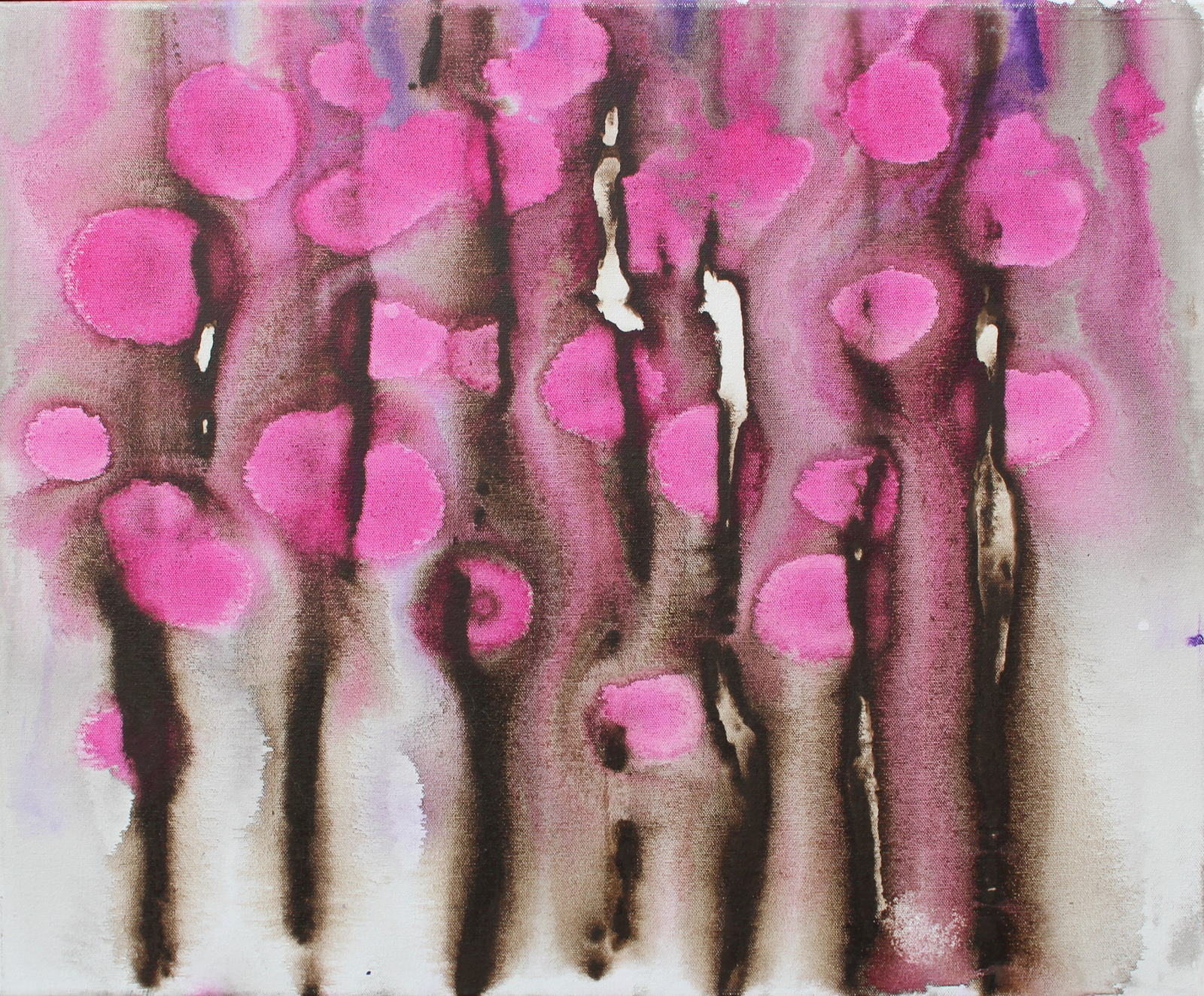 Cotton Image