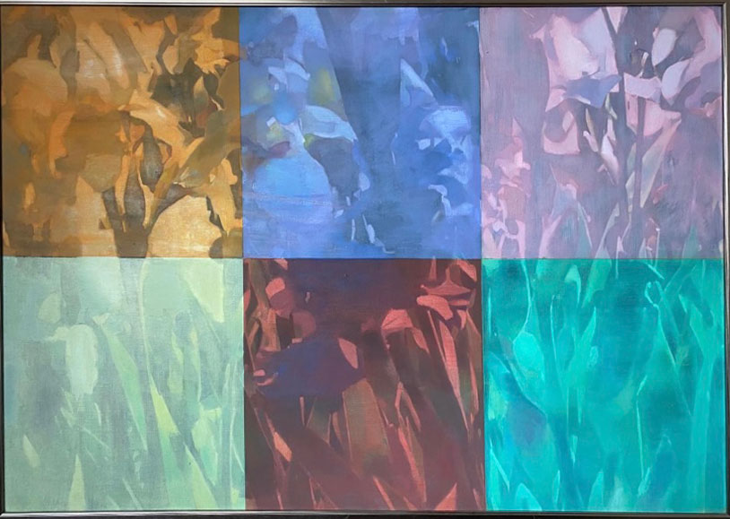 Image for Irisis