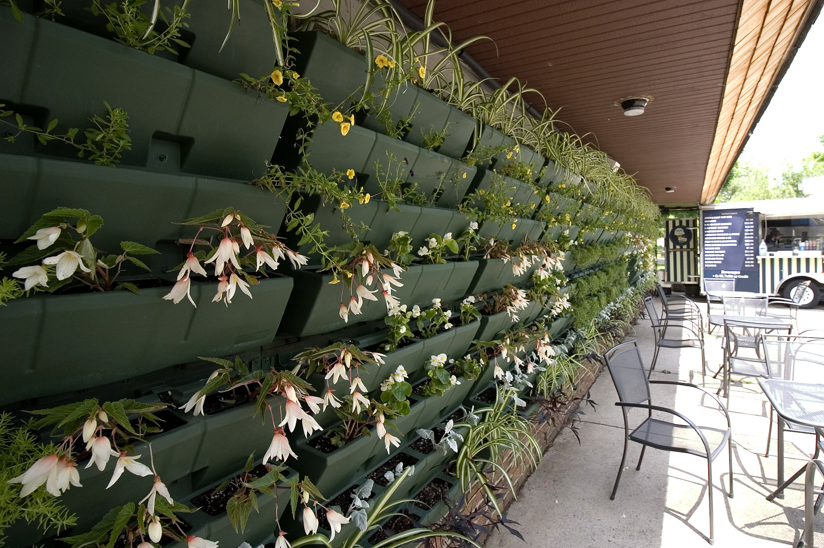 Our flower garden
