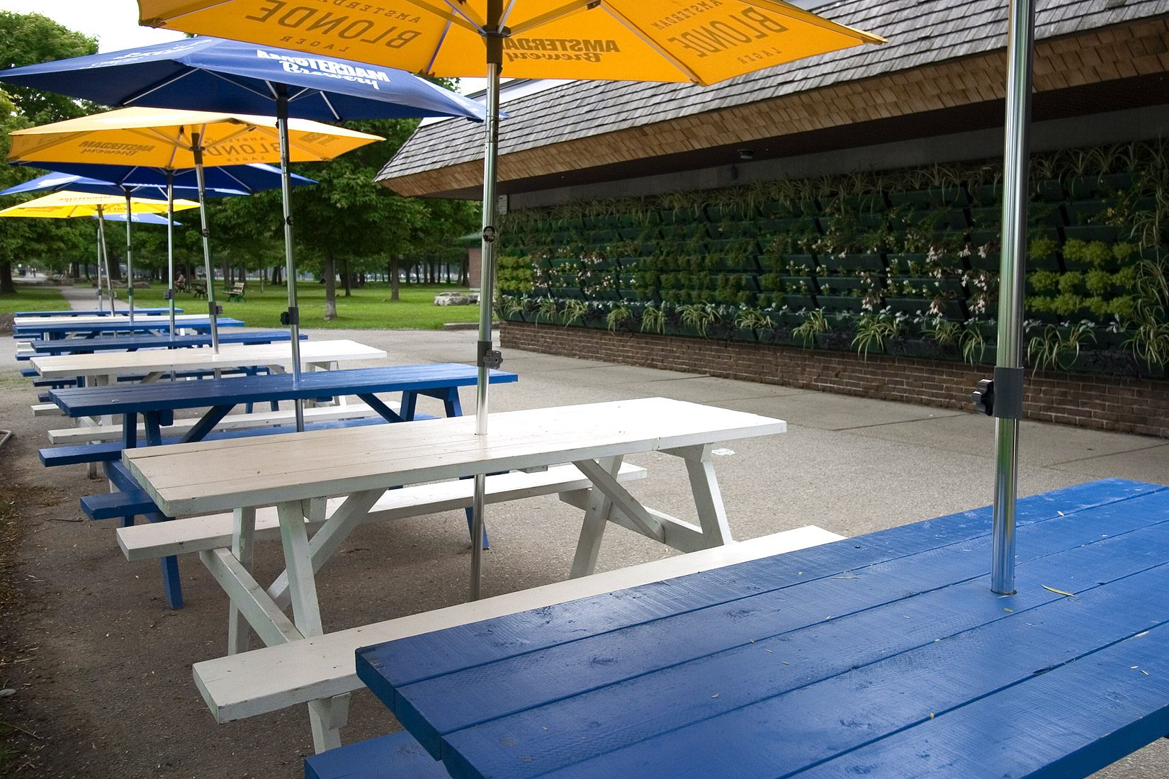 Beautiful Patio