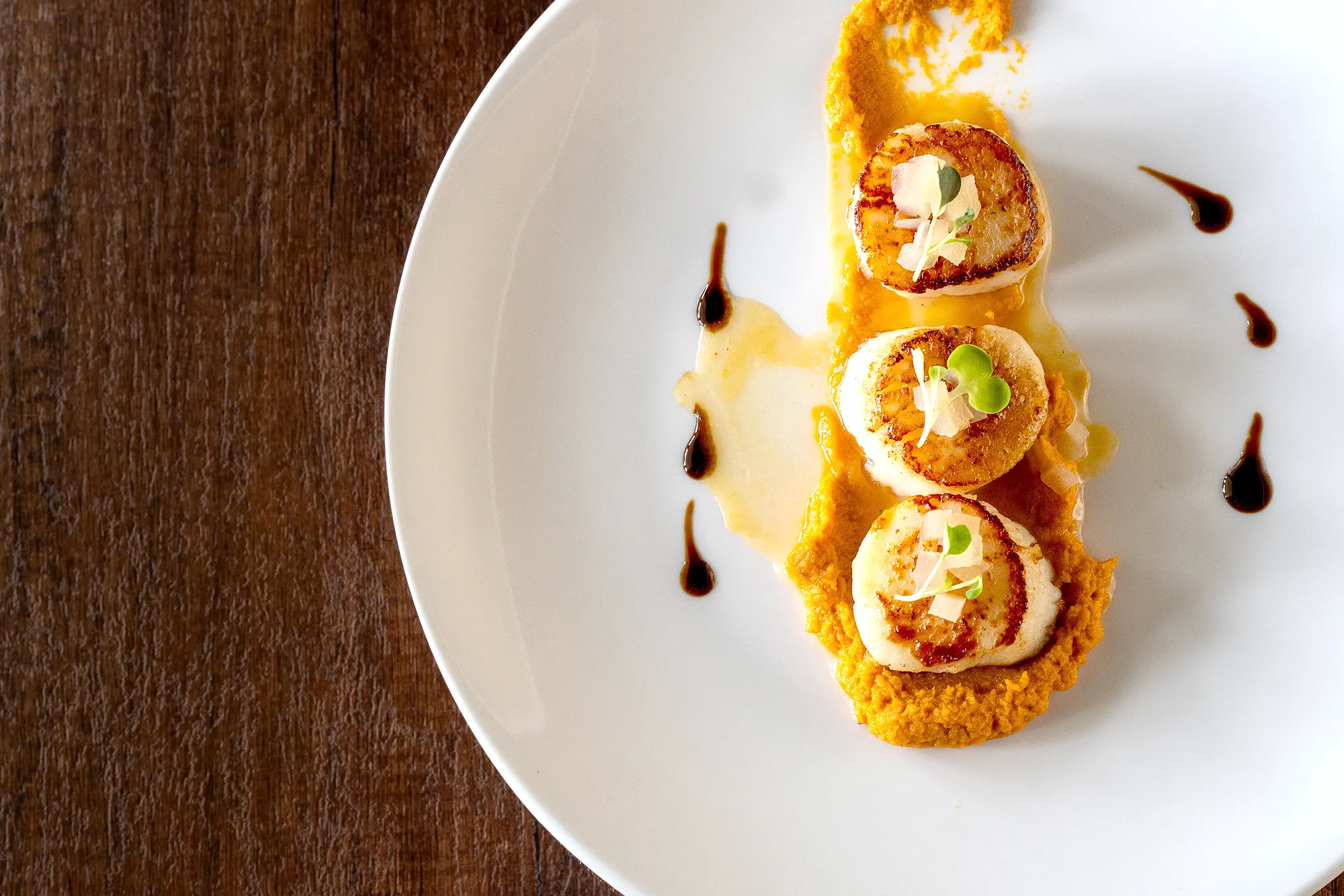 Scallop