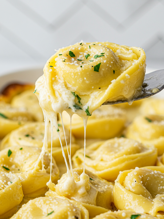 FP3 | CHEESE TORTELLINI