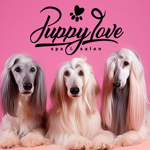 Dog Grooming in Vaughan and Toronto