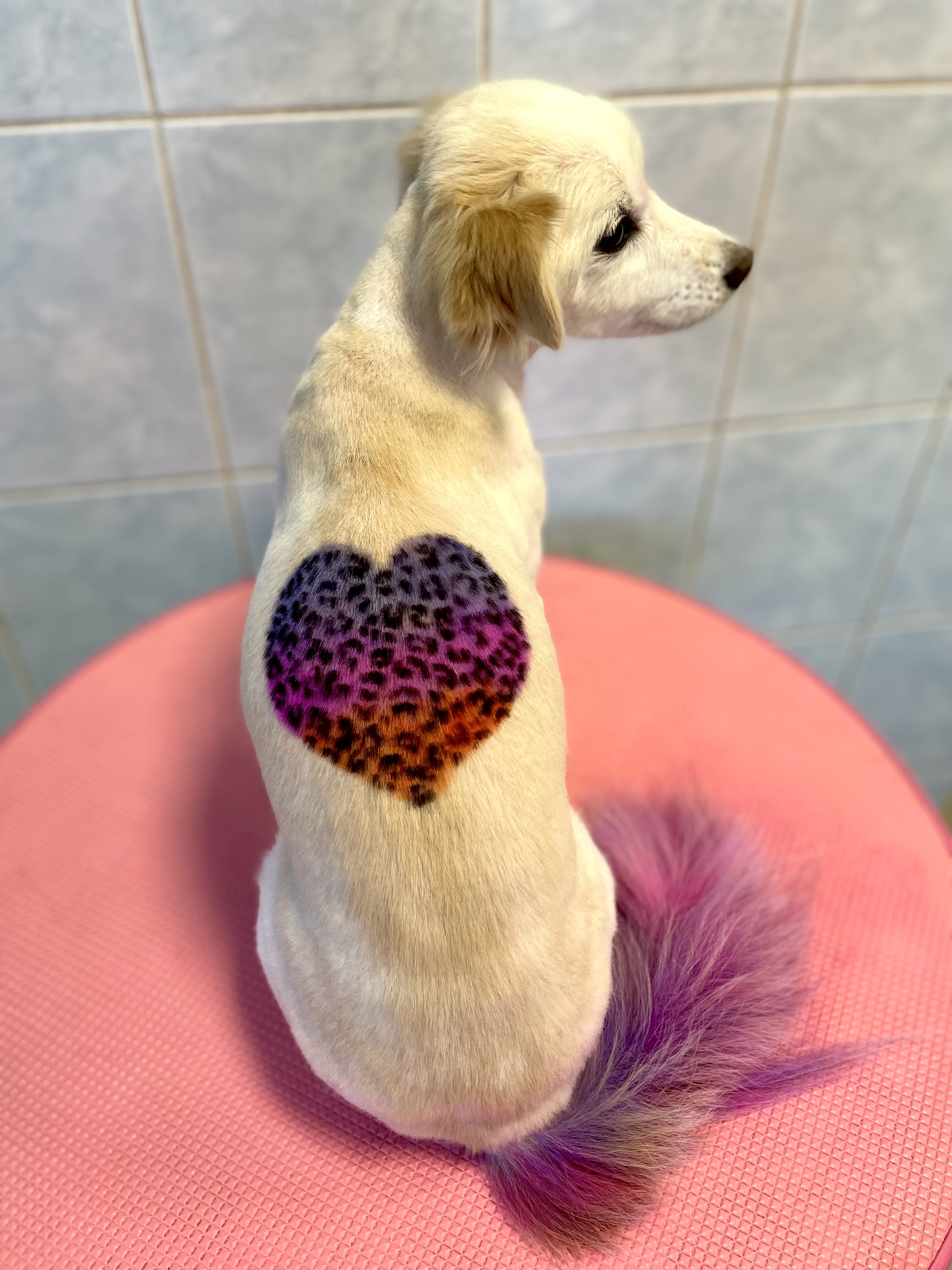 Szabina Fux Image 11