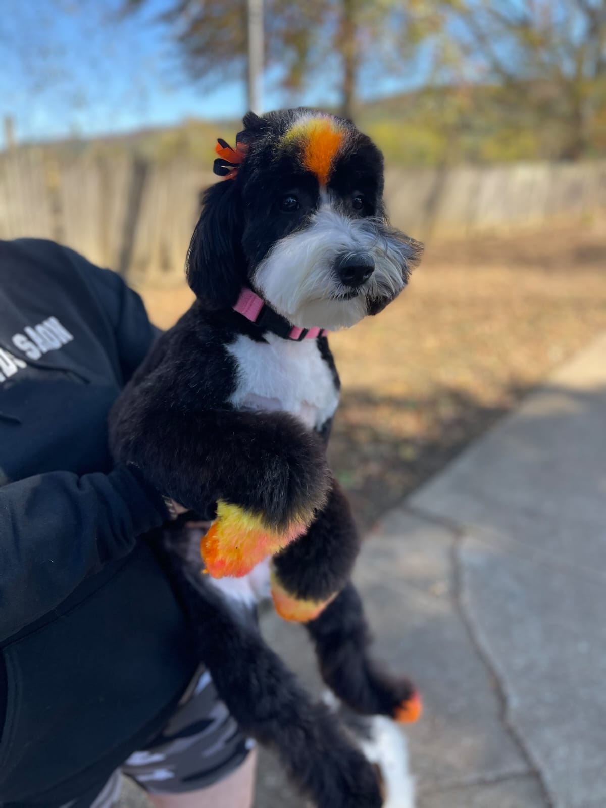 Jordan Peterson Image 11