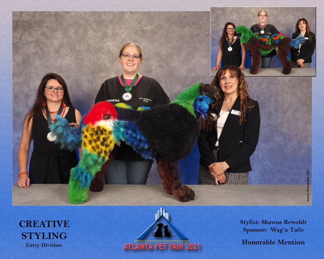 Shawna Schaffer Image 10