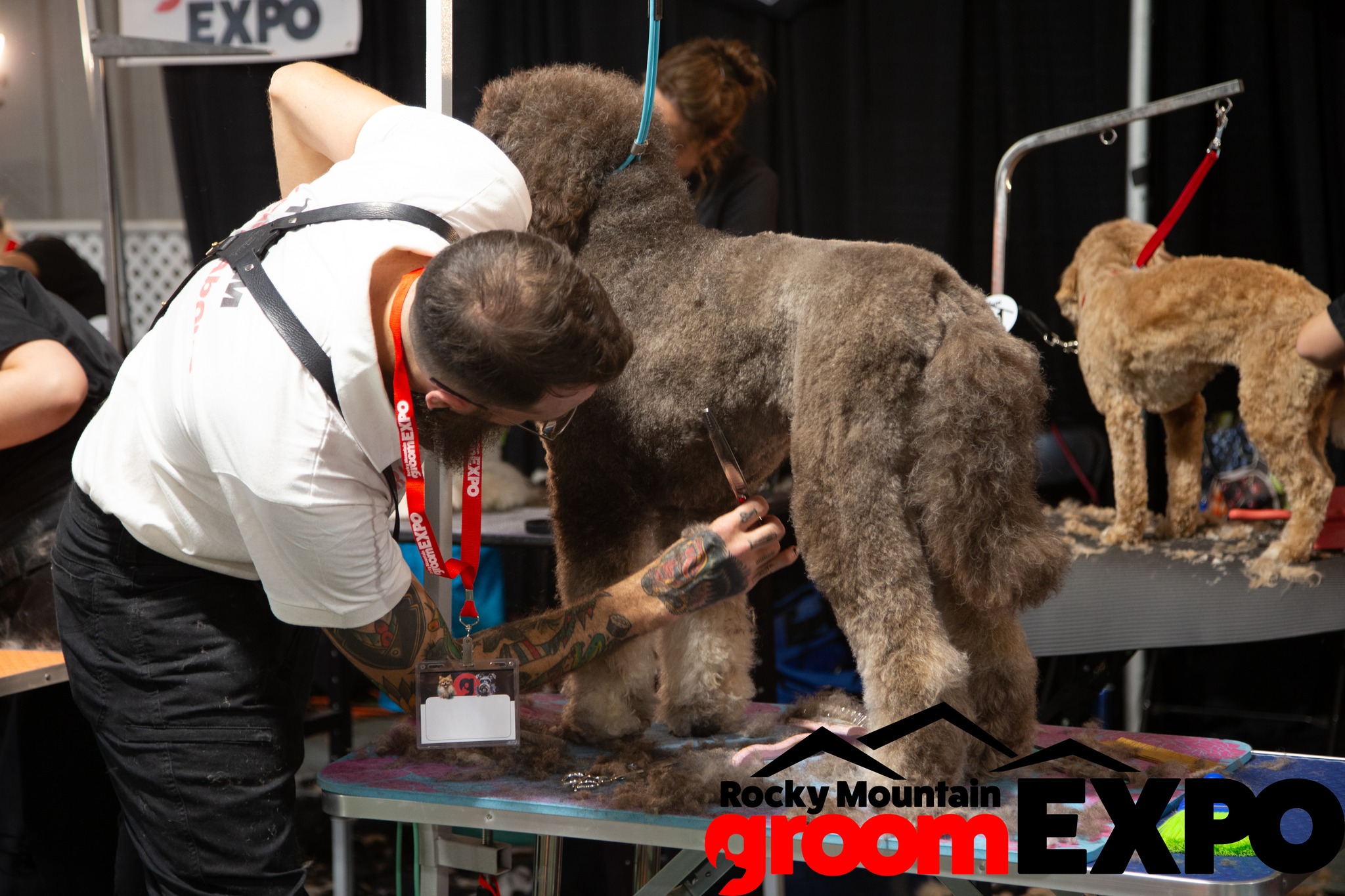 Rocky Mountain Groom Expo - Arizona Image 1
