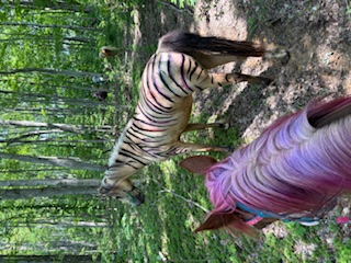 Alicia Walker Image 11