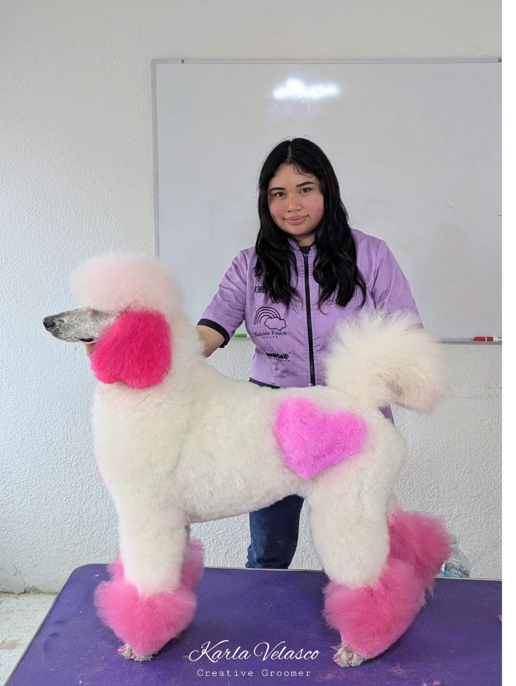 Karla Velasco Image 11