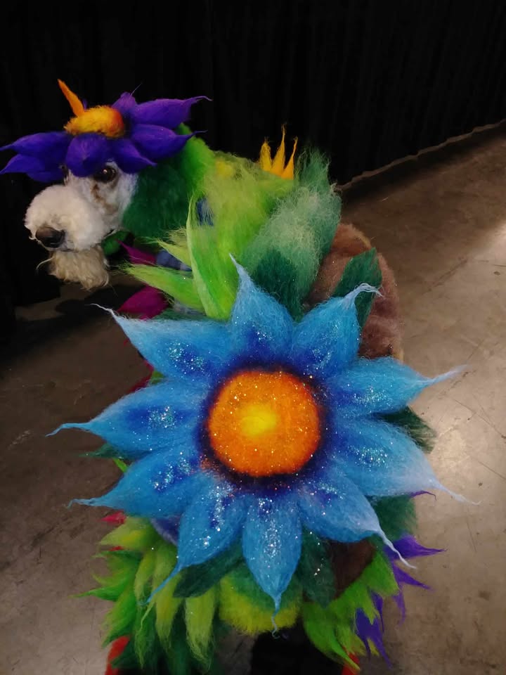 Sandra Hartness Image 15