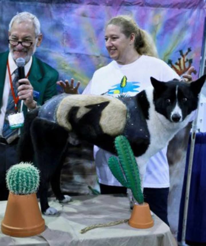 Sandra Hartness Image 11