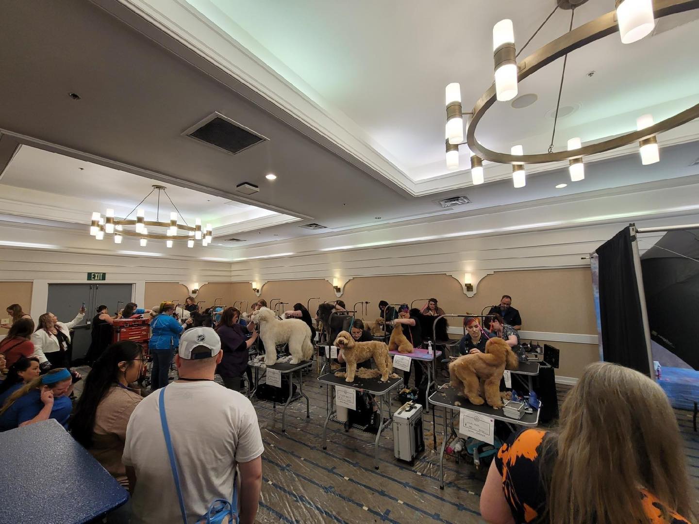 Teton Grooming Expo Image 2