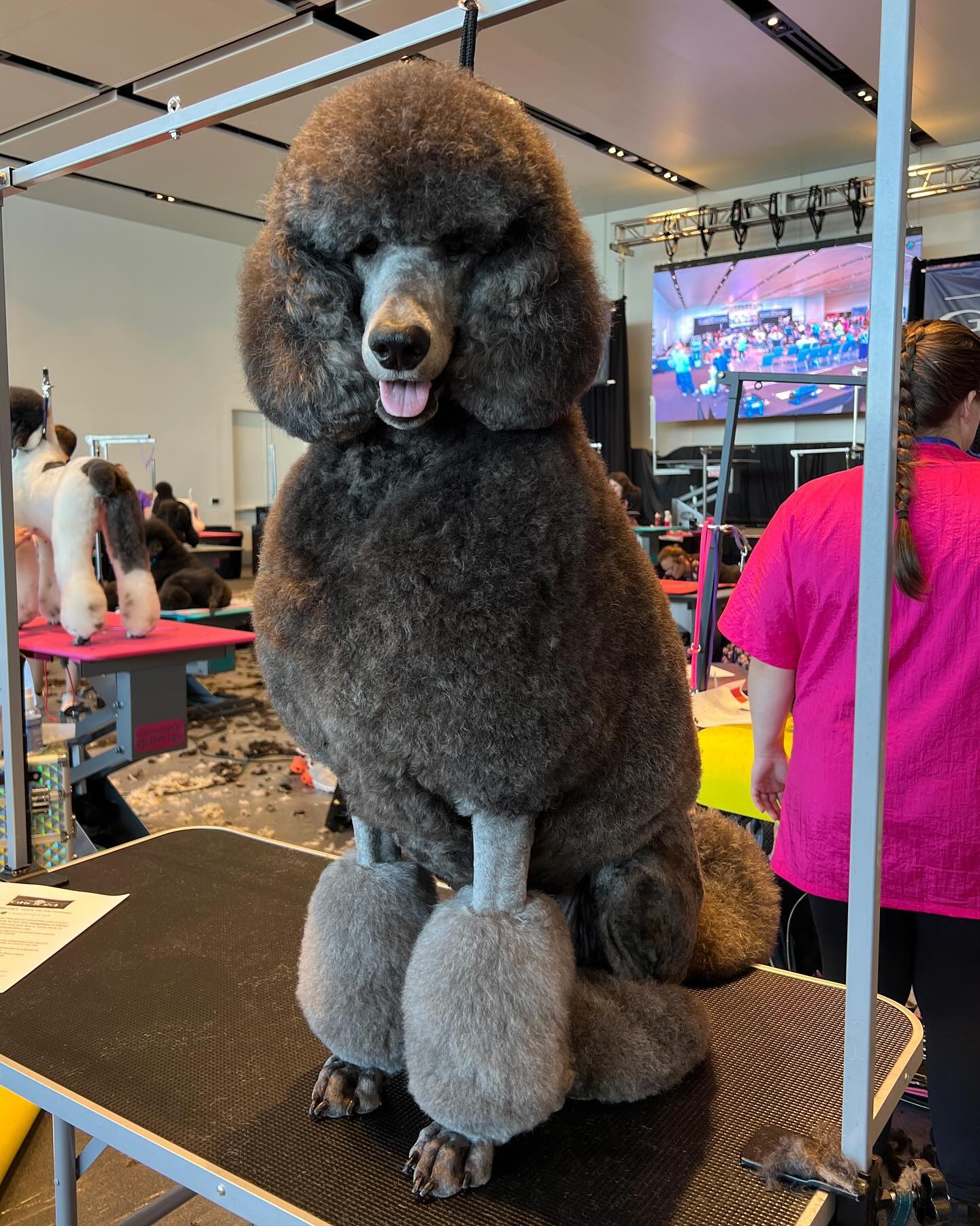 RW GroomX Grooming Competition Image 1