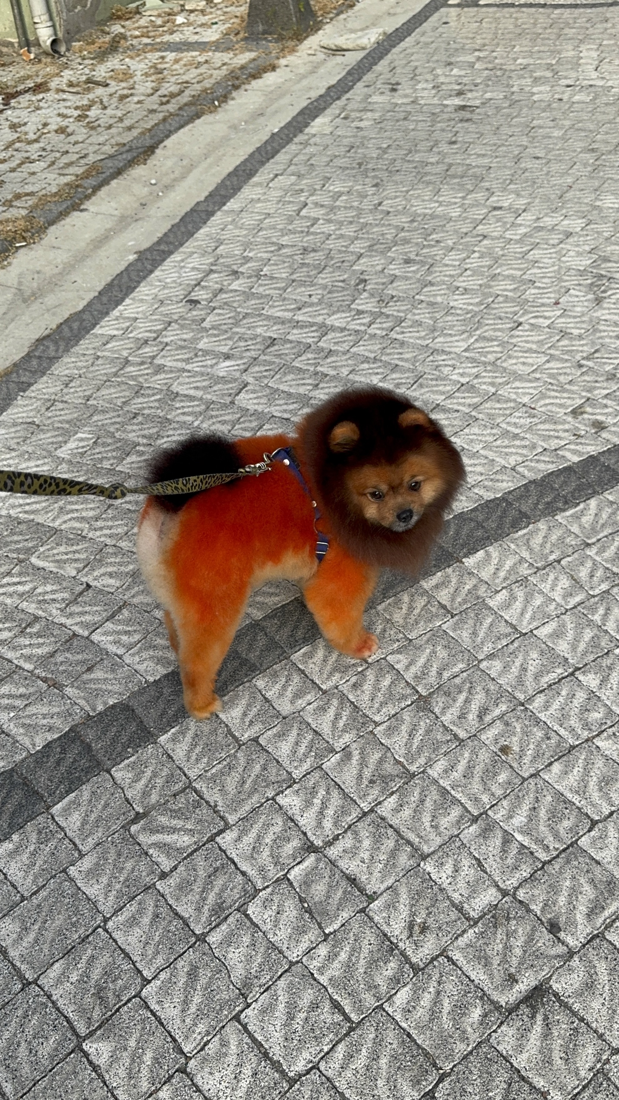 Odul Yilmaz Image 9