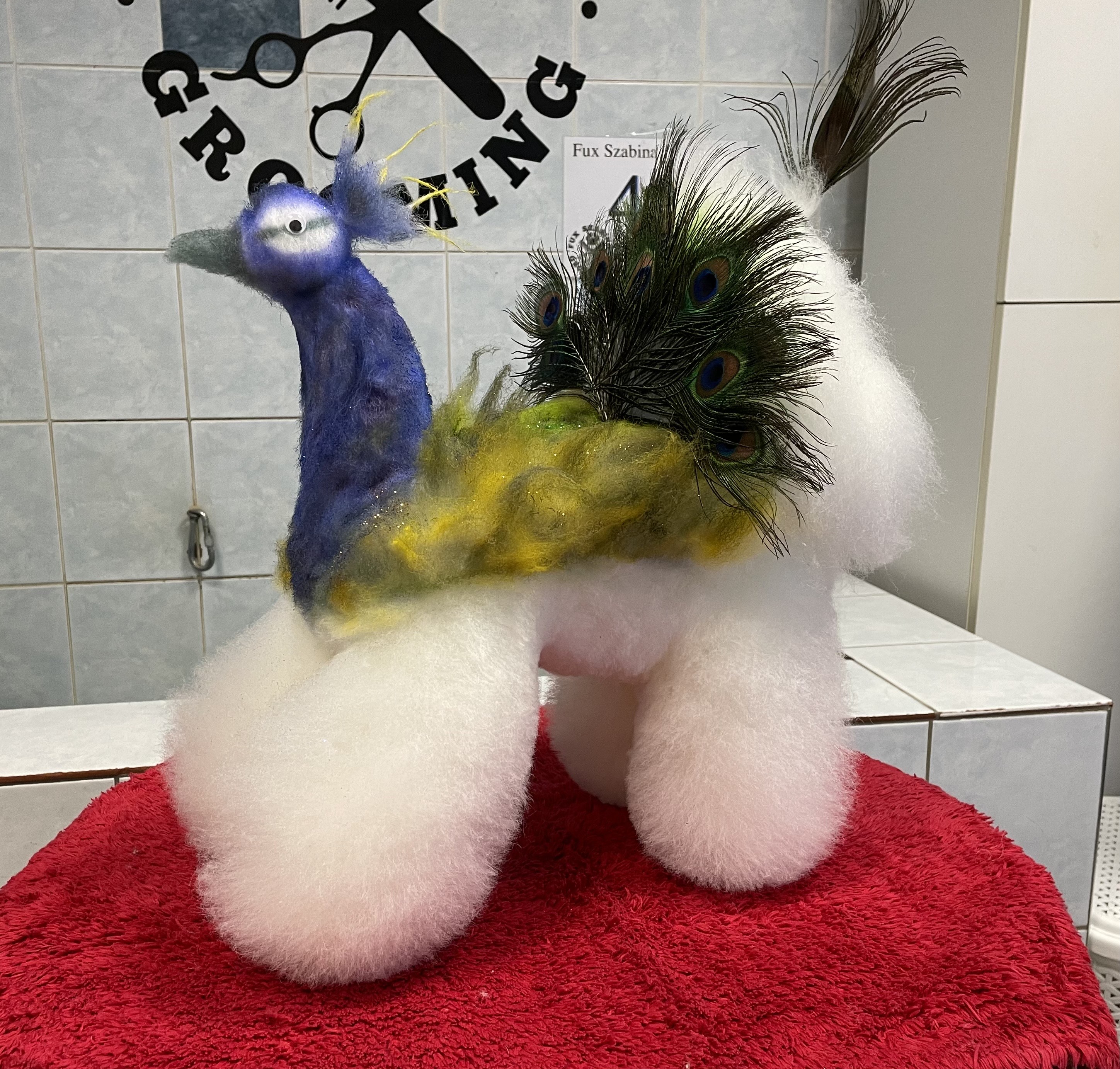 Szabina Fux Image 24