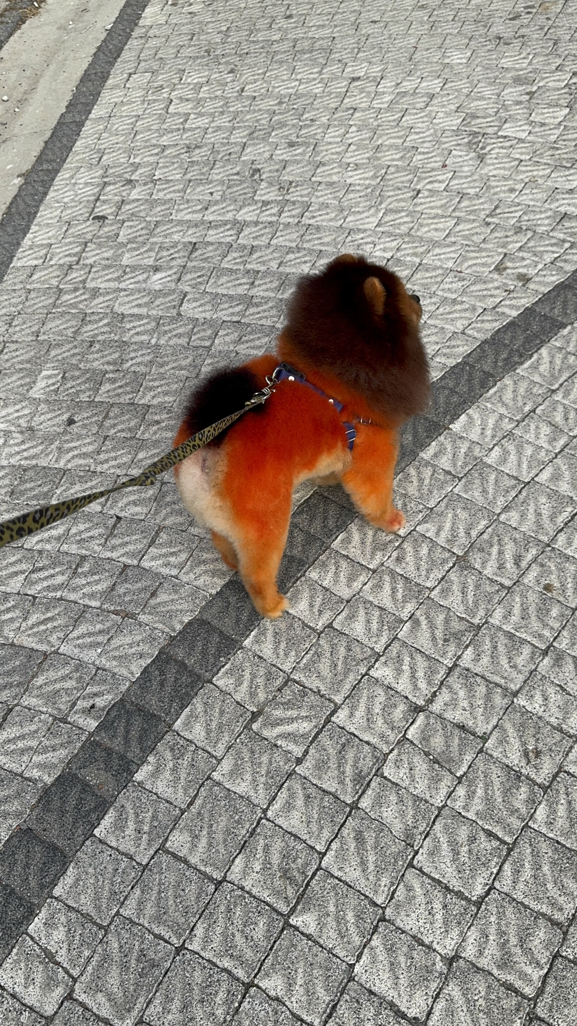 Odul Yilmaz Image 8