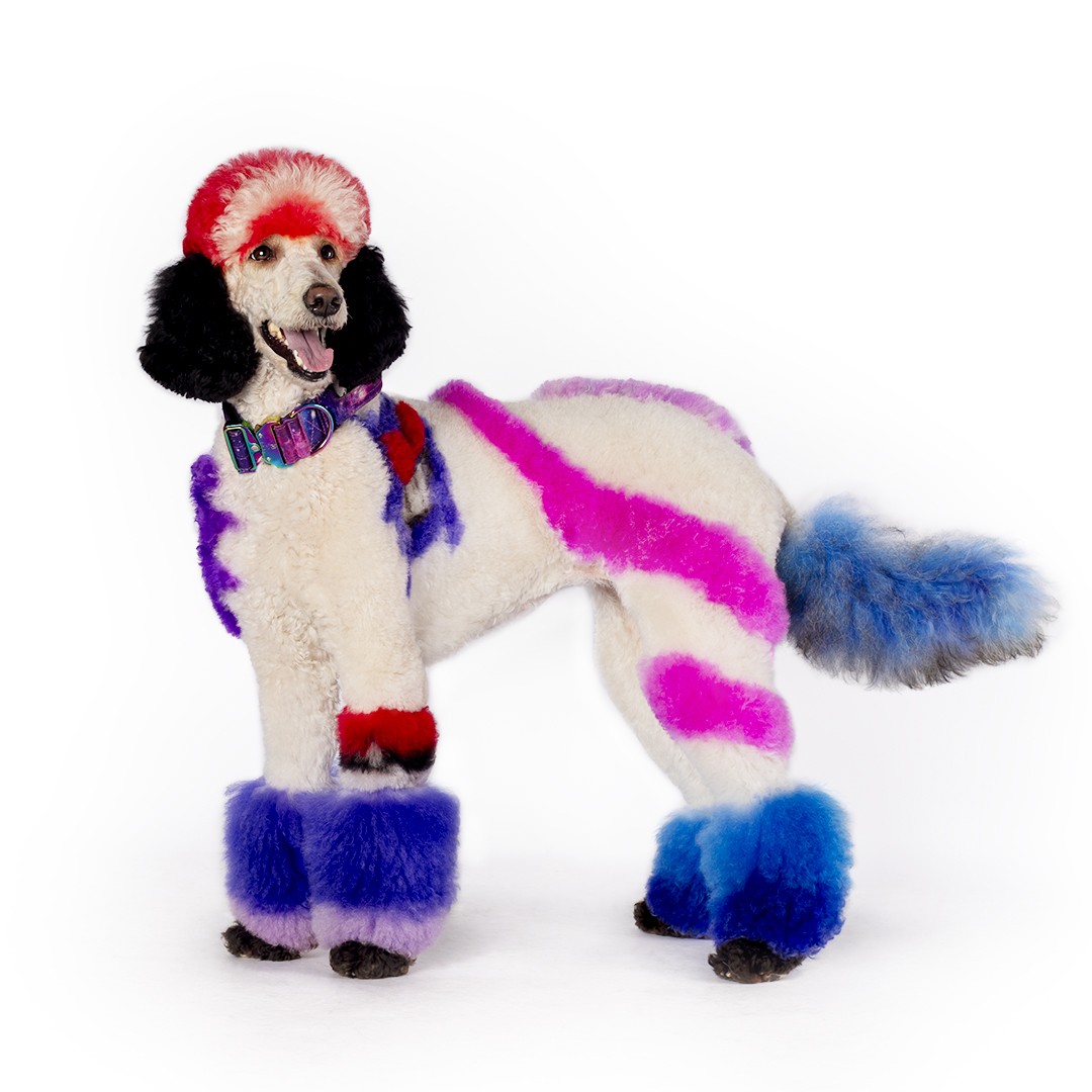 Nikki Trenton Image 3