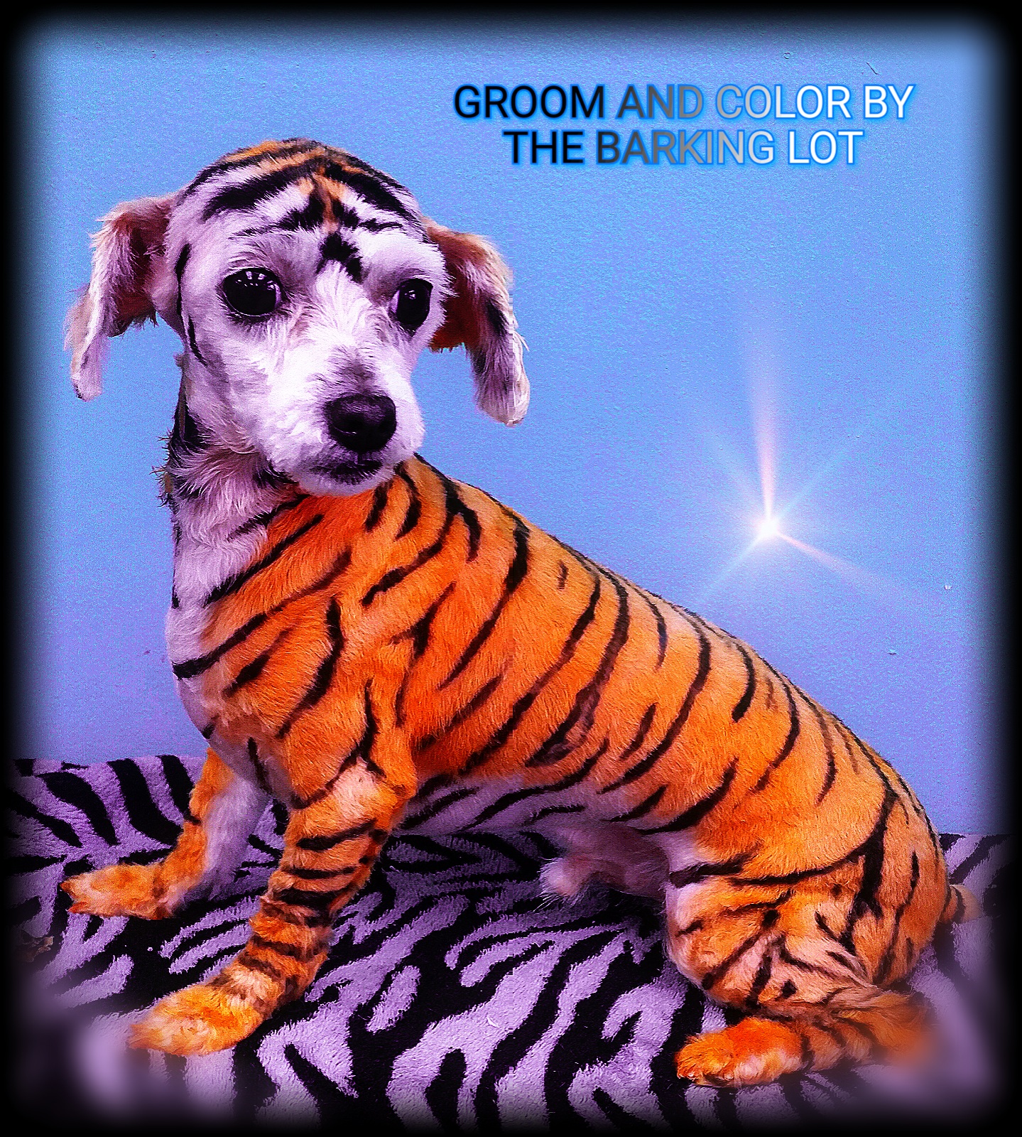 Stacy Brown Image 1