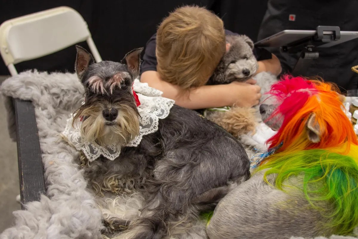 U.S. Pet Pro Classic Image 2