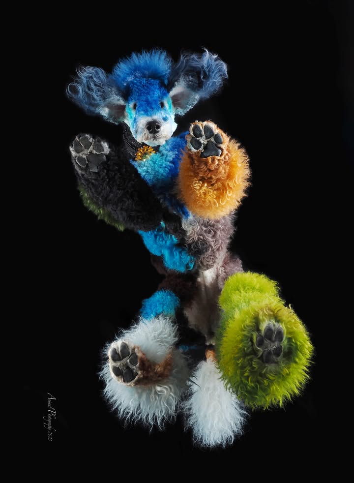 Madeline Rothwell Image 3