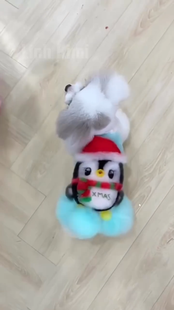 Linh Kimi Image 4