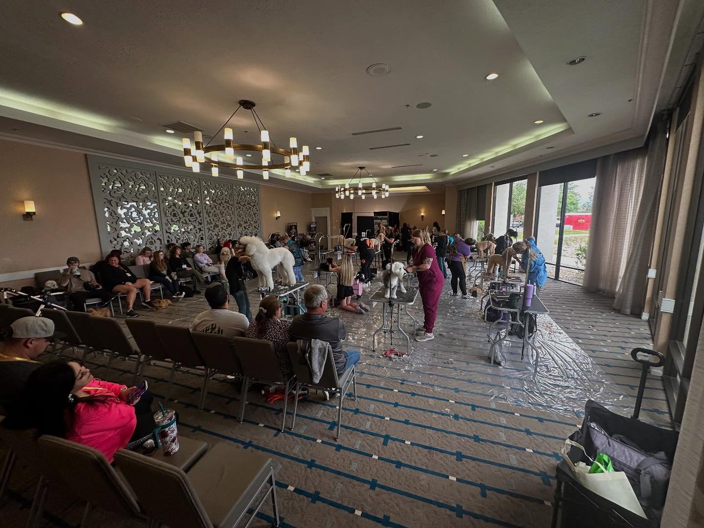 Teton Grooming Expo Image 1