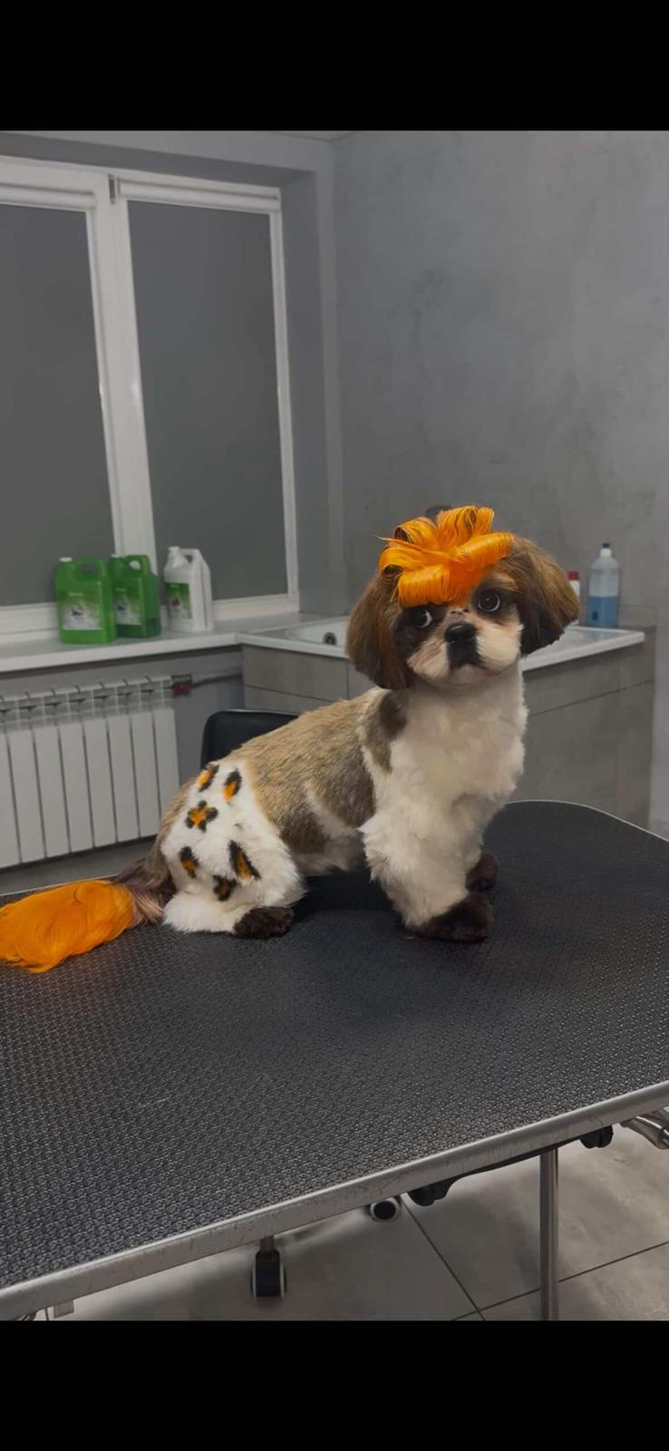 Oksana Novikova Image 7
