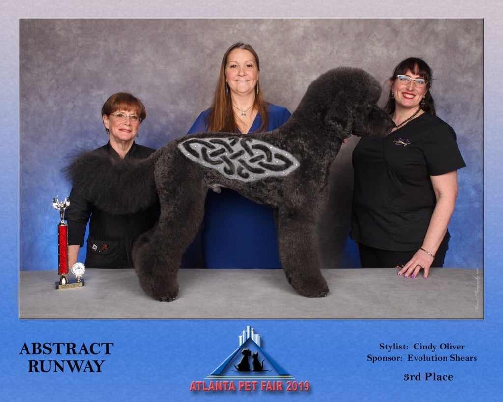 Cindy Oliver Image 6