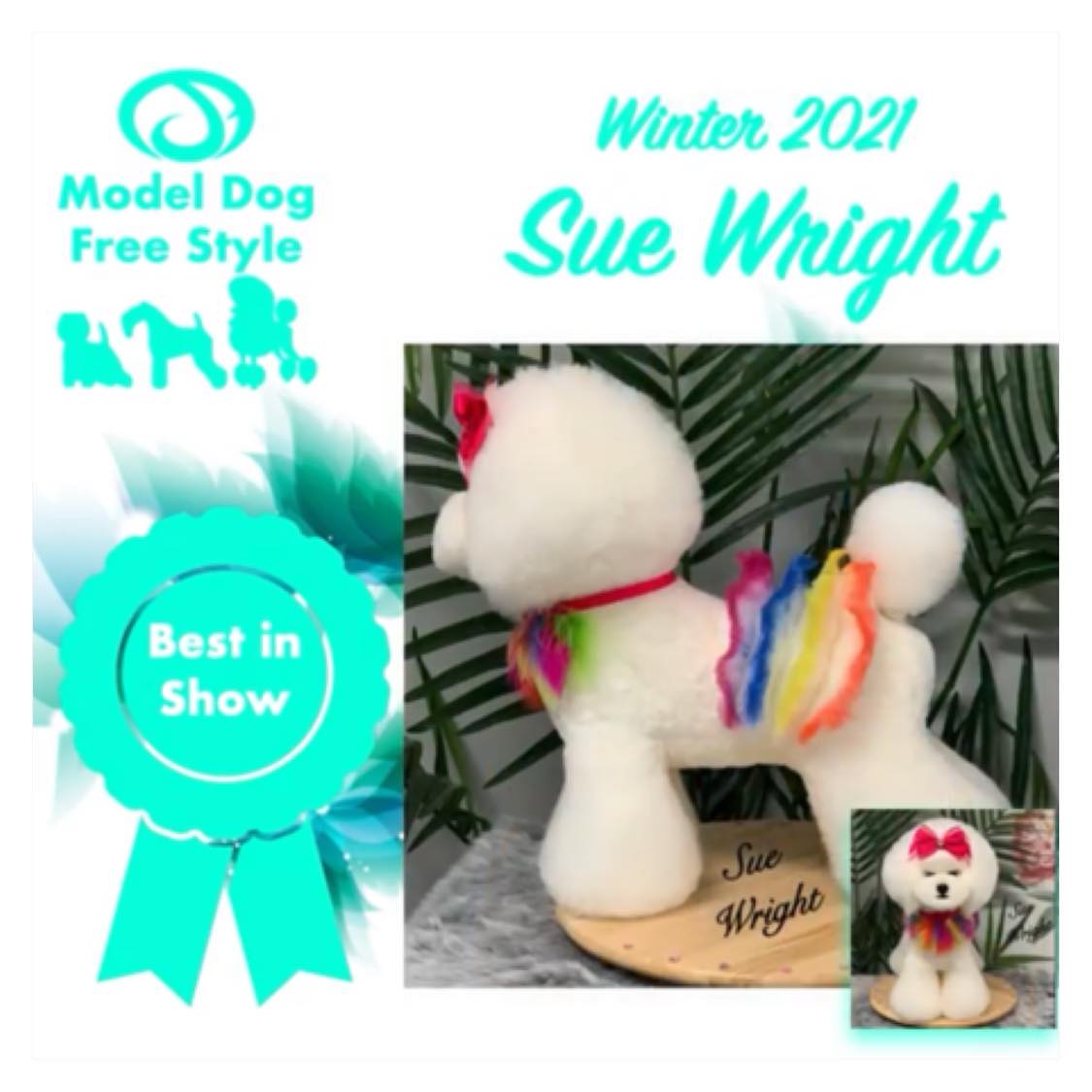 Sue Wright Image 18