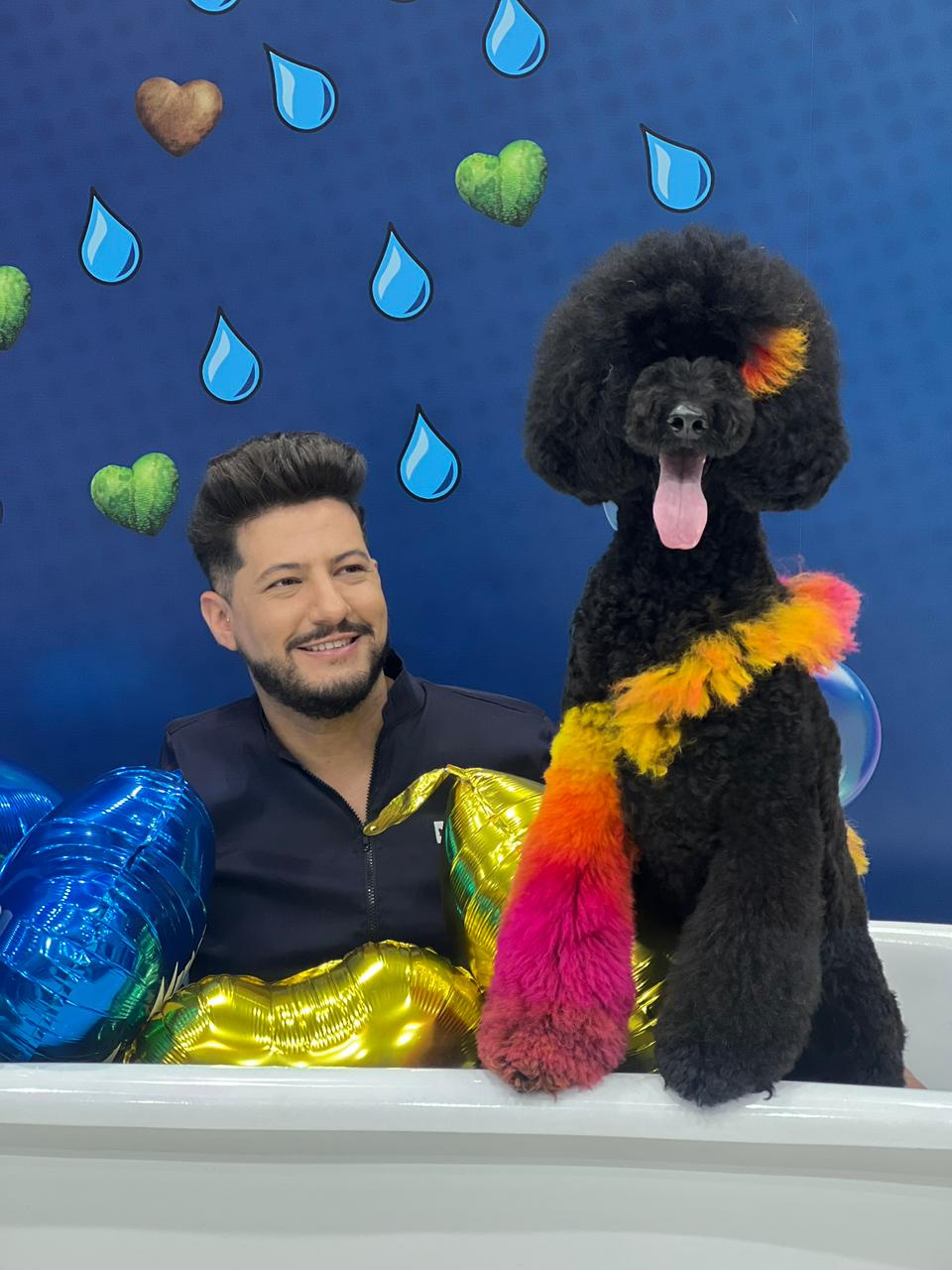 Felipe Corrêa Image 9