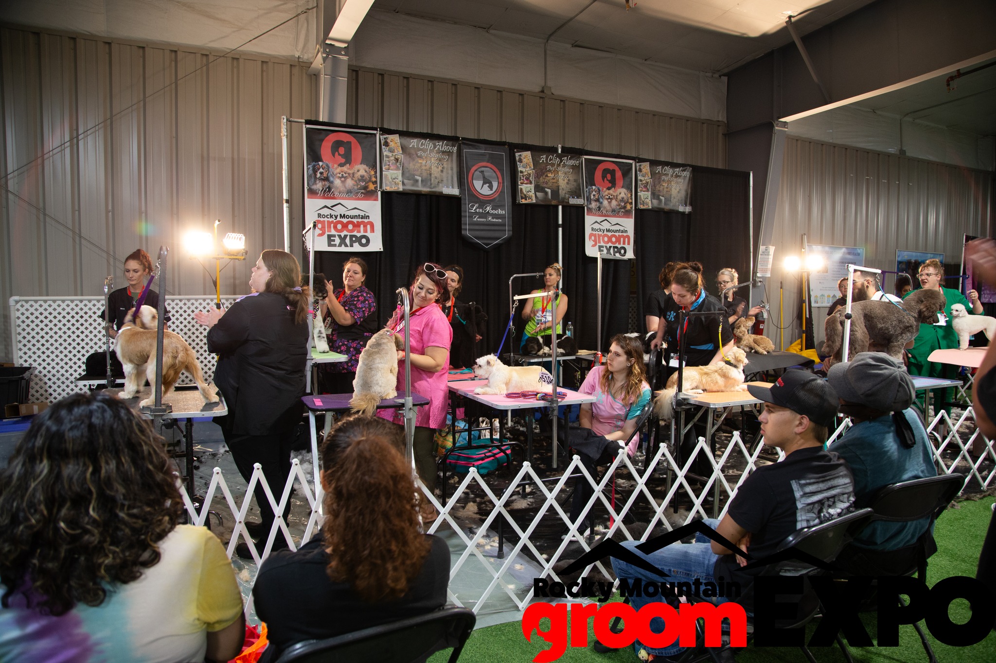 Rocky Mountain Groom Expo - Arizona Image 3