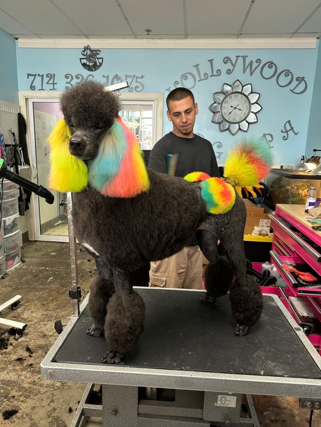 Mikhail Williams Creative Grooming Artist in Stanton, California