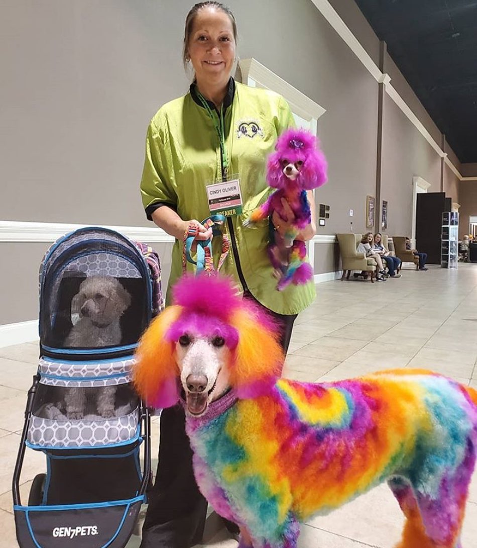 Barkleigh's Petquest Image 1