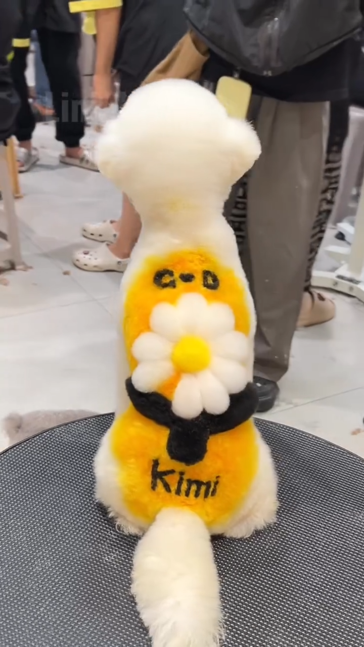 Linh Kimi Image 7