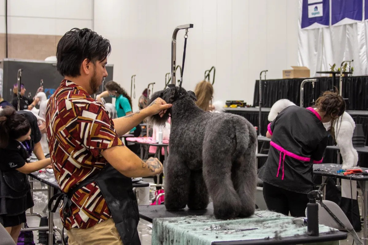 U.S. Pet Pro Classic Image 1