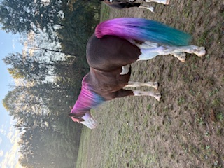 Alicia Walker Image 5