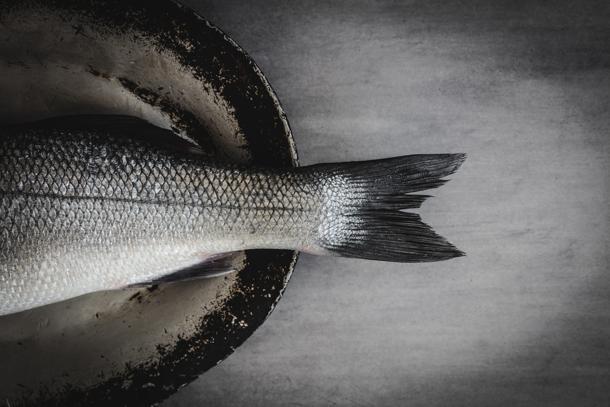 Bronzini Sea Bass