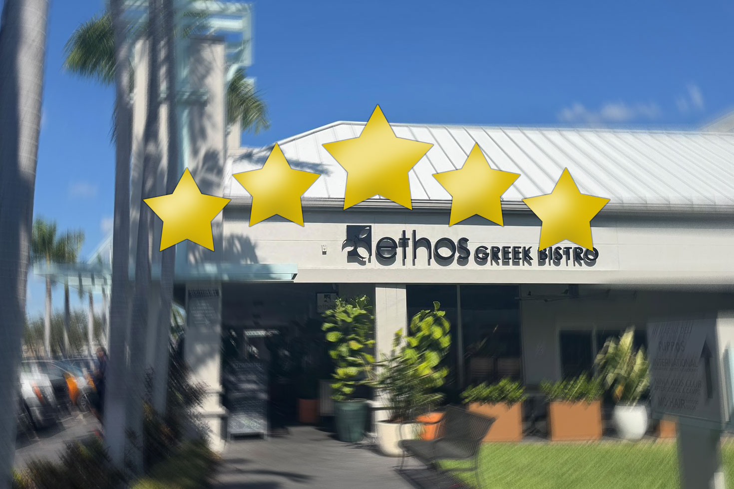 1,000 Reviews, 5 Stars, and One Unforgettable "ethos"