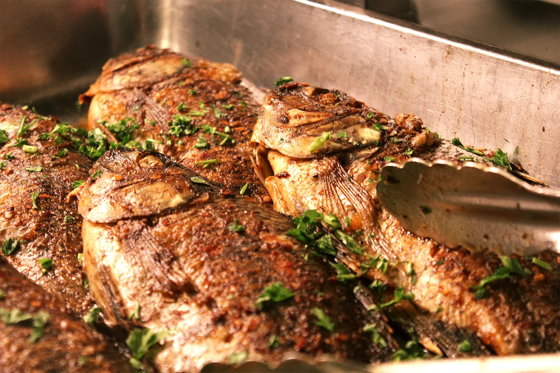 Grilled Fish Mediterranean Style