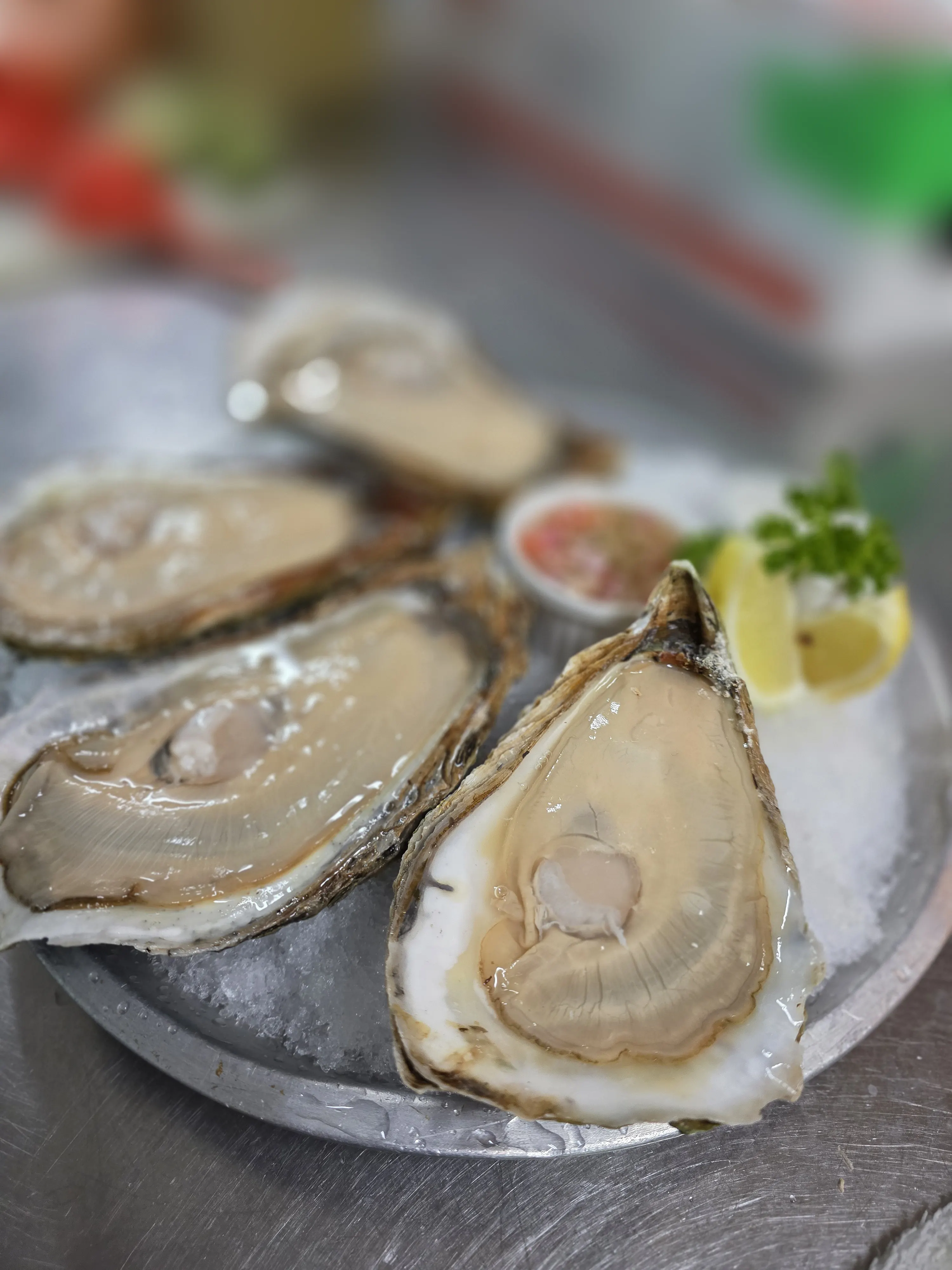 Fresh Oysters