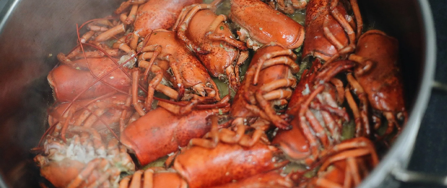 Lobster