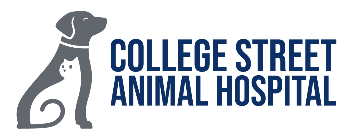 College St. Animal Hospital's Logo