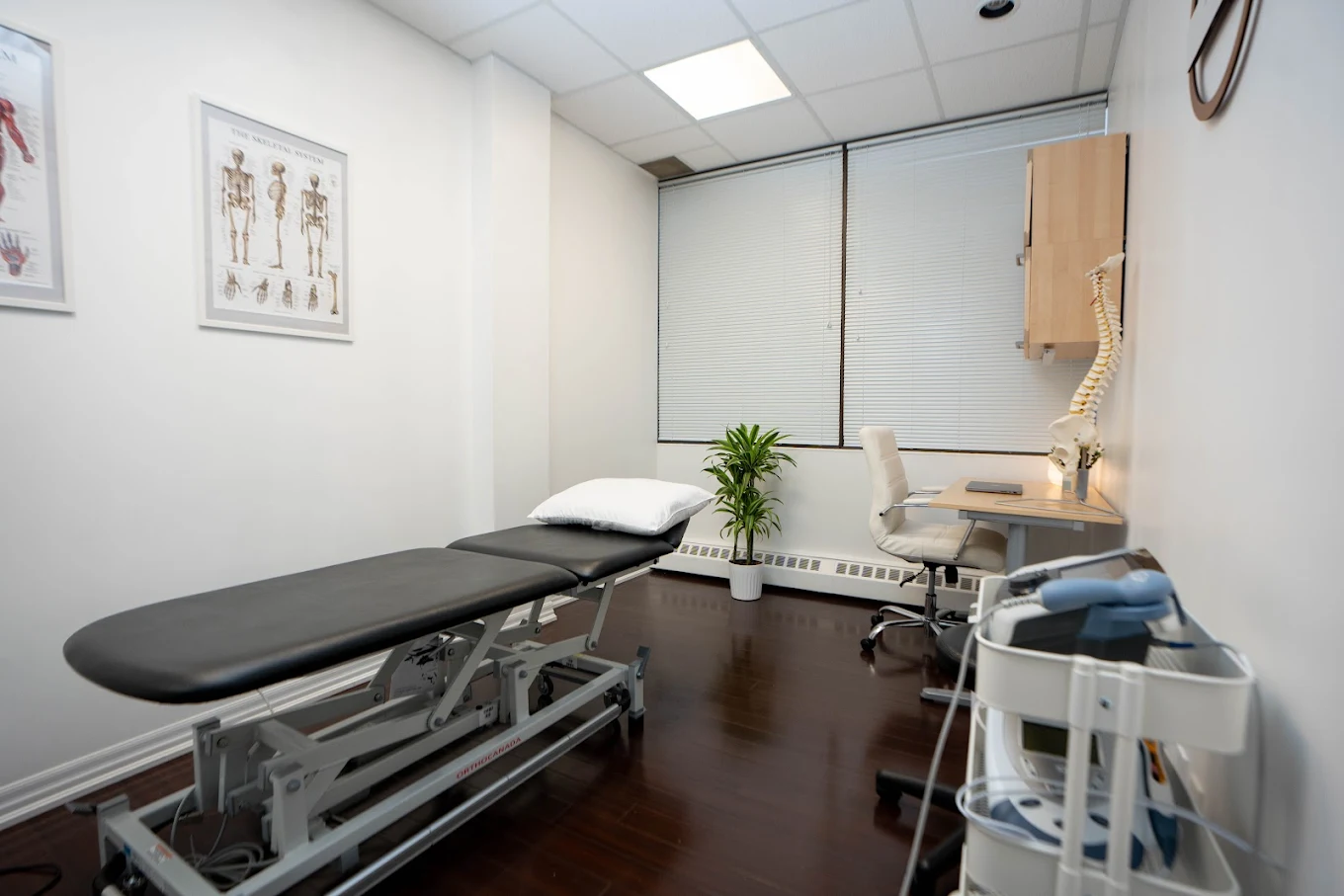 Clover Physiotherapy Gallery Media File 1