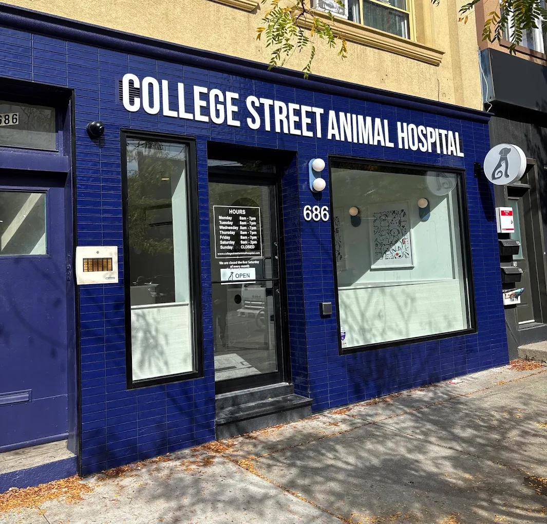 College St. Animal Hospital Gallery Media File 1