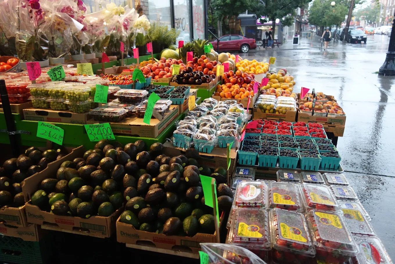 College Fruit Market Gallery Media File 1