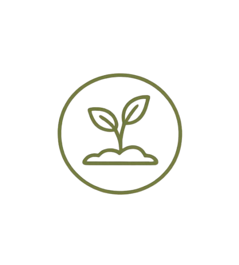 no seed oils