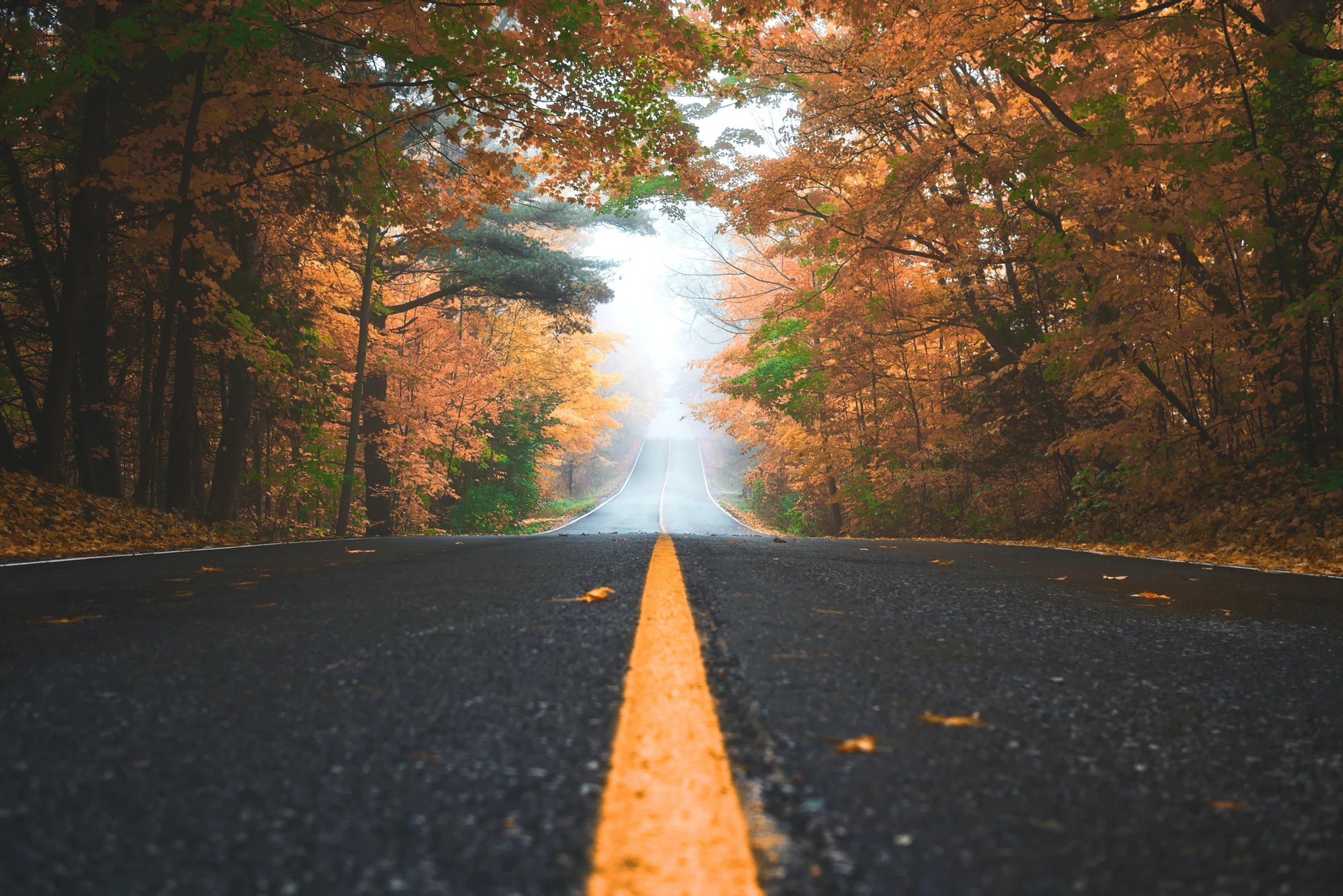 Finding Your Purpose